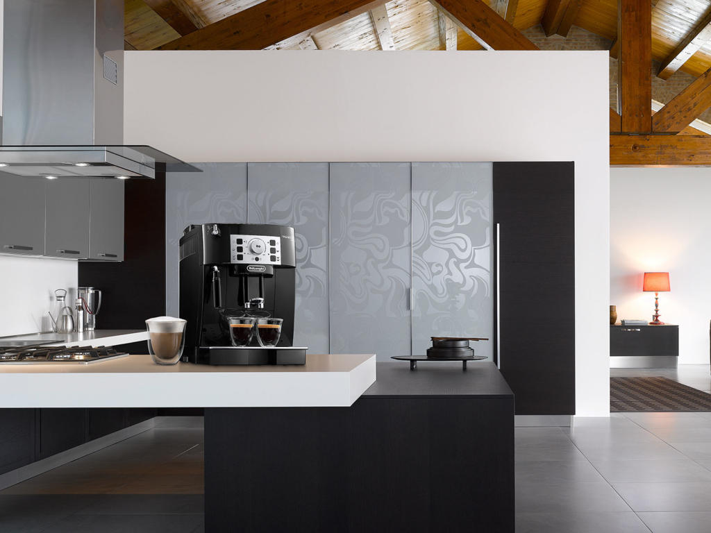 Magnifica S ECAM 22 110 B